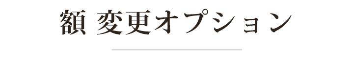 額縁変更オプション