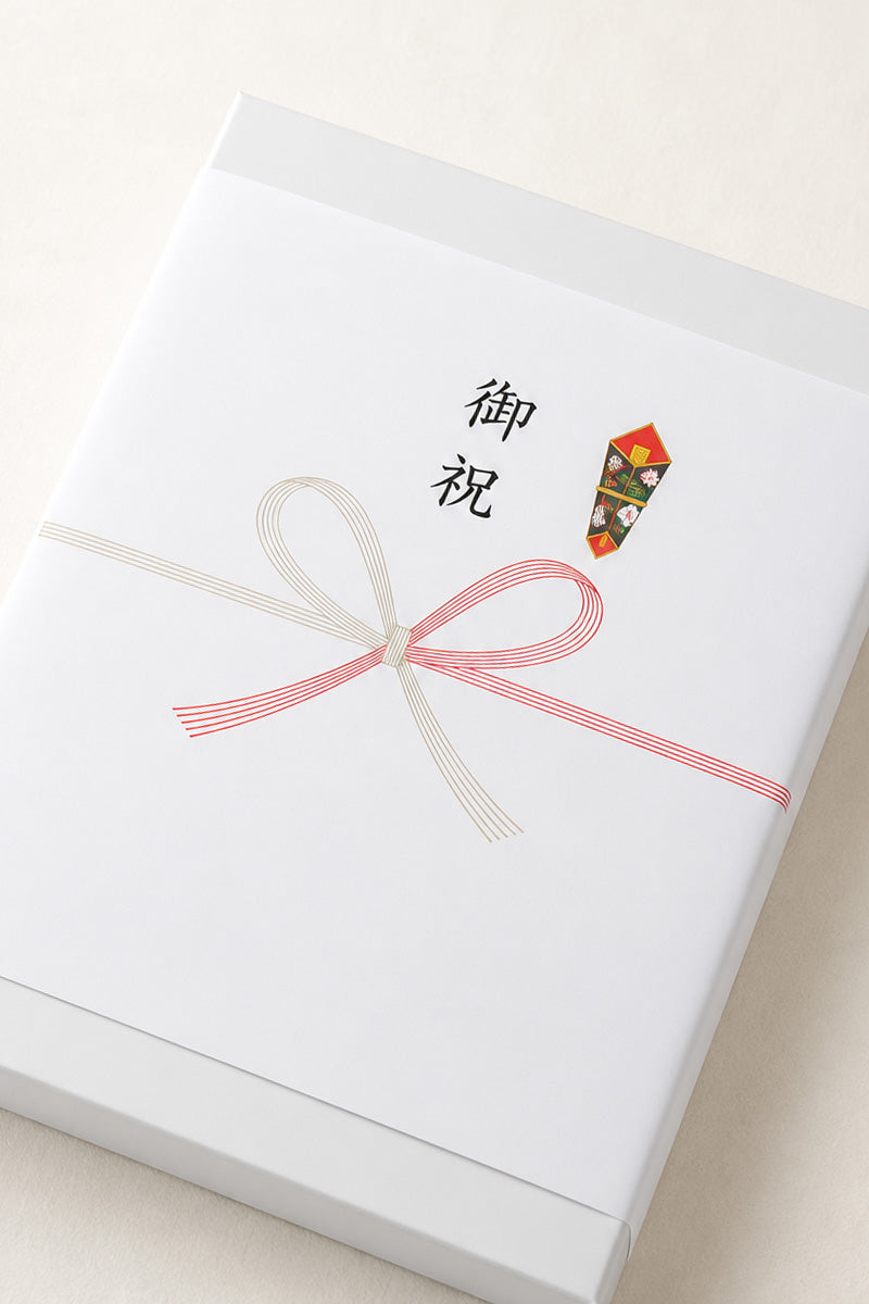 一般のしを掛けた贈り物