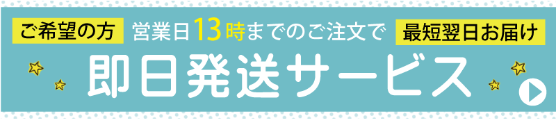 即日発送サービス