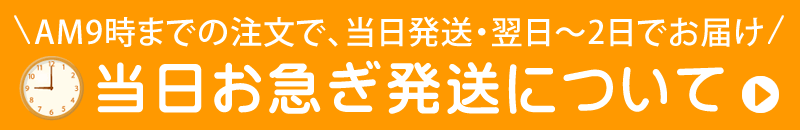 当日発送・即日発送